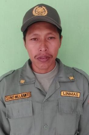 Suno Mujianti